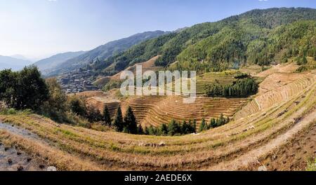 Die Landschaft wellig Longsheng Reisterrassen nach der Ernte - Nord Guillin, Guangxi Provinz, China Stockfoto