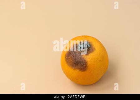 Hässliche orange mit Schimmel auf hellen Hintergrund, Nahaufnahme, horizontale Ausrichtung, Hässliches Essen consept Stockfoto