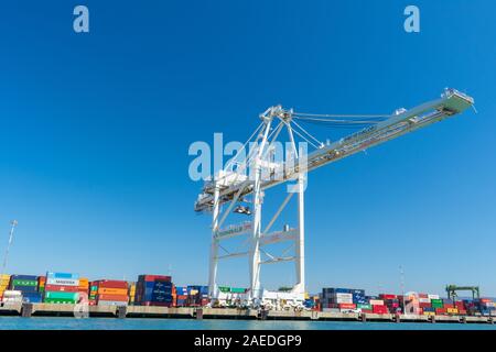 Ship-to-shore Portalkran am Oakland International Container Terminal gebaut Zhen Hua Port Machinery Company und von Stauereidiensten von Am verwaltet Stockfoto