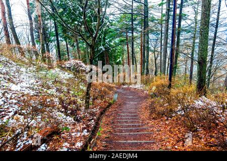 Pfad im Wald, der zu einem Aussichtspunkt auf den Fuji-Berg in Kawaguchiko, Japan, führt Stockfoto