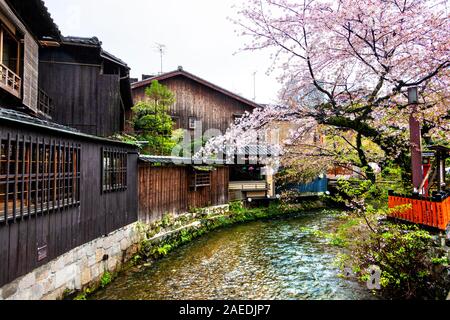 Kirschblütenbaum über einem Kanal, der durch das Gion-Viertel in Kyoto, Japan, führt Stockfoto