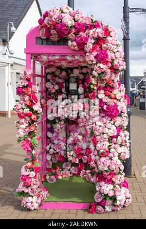 Rose abgedeckt Telefon Kiosk in Gretna Gateway Outlet Village, Gretna Green, Gretna, Dumfries und Galloway, Schottland, Vereinigtes Königreich Stockfoto