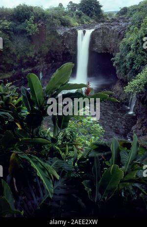 Rainbow Falls in Hilo, Hawaii Stockfoto