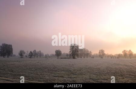 Sonnenaufgang mit einem leichten Morgennebel auf ein breites Feld mit etwas Frost im Winter und die Bäume im Hintergrund in Deutschland Stockfoto