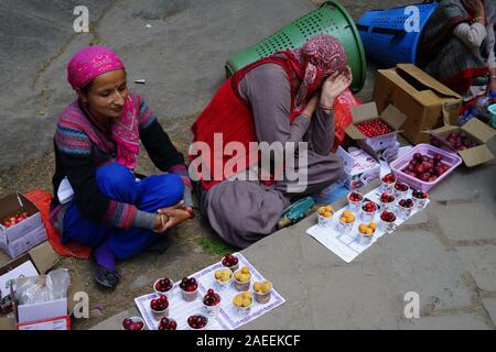 Cherry Plum Aprikose Frucht Anbieter, Manali, Himachal Pradesh, Indien, Asien Stockfoto