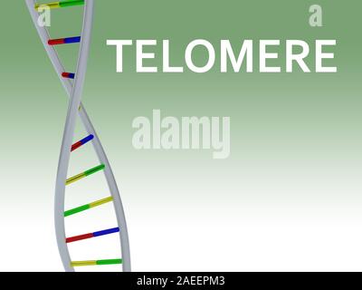 3D-Darstellung der TELOMER script mit DNA-Doppelhelix, auf grünen Farbverlauf isoliert. Stockfoto