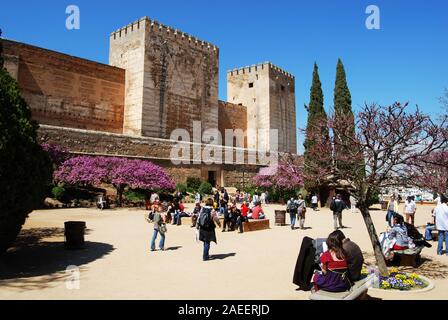 Zisterne Gericht mit rosa Baum Blüten im Vordergrund und Touristen, die die Sehenswürdigkeiten Palast von Alhambra, Granada, Spanien. Stockfoto