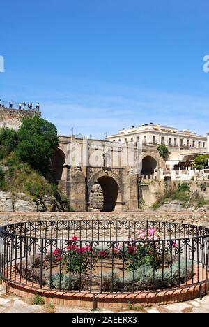 Blick auf die neue Brücke über die Schlucht mit einem hübschen Blumenbeet im Vordergrund, Ronda, Provinz Malaga, Andalusien, Spanien. Stockfoto