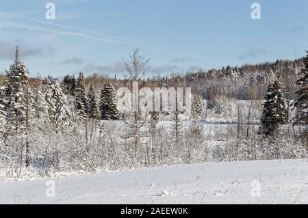 Quebec, Kanada. Schneefall auf dem Bauernhof Stockfoto