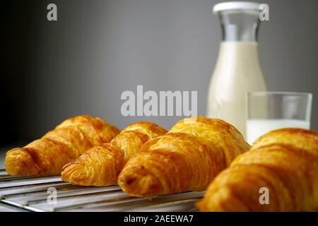 Frisch gebackene Croissants auf den Tisch, serviert mit frischer Milch. Stockfoto