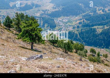 Bergwelt - Bäume an einem Berghang. Kleines Dorf in den Falten eines riesigen Bergkette im Hintergrund. Rhodopen, Bulgarien. Stockfoto