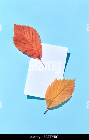 Grußkarte aus weißen Blatt Papier und zwei Herbst bunte Blätter auf einem hellblauen Hintergrund mit harten Schatten, kopieren. Flach. Stockfoto