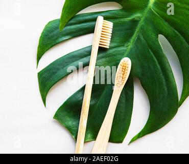 Bambus Zahnbürsten und monstera Blatt auf weißem Hintergrund. Null Abfall und biologisch abbaubaren und recycelbaren Material Konzept verwenden. Flach. Stockfoto