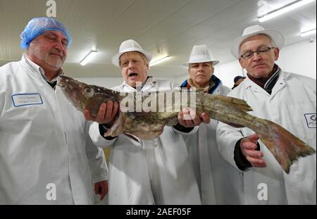 Premierminister Boris Johnson ist von der lokalen konservativen Kandidaten Lia Nici (Zweiter von rechts) wie er prüft einige der fangen bei einem Besuch in Grimsby Fischmarkt, während auf der allgemeinen Wahlkampagne Trail. Stockfoto