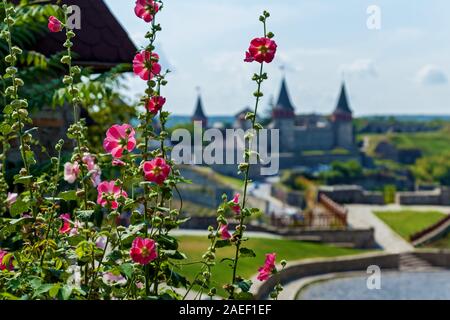 Die mittelalterliche Burg in Kamjanez-podilskyj mit steinernen Mauern und Türmen ist von Grünflächen umgeben. Schöne rosa Blumen auf Hintergrund-t Stockfoto