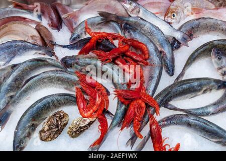 Viel Fisch, Garnelen, Austern und legte sich auf dem Eis auf dem Fischmarkt, Malta Stockfoto