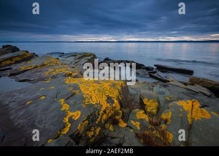 Bunte Flechten auf Felsen an einem Dezemberabend in Nes auf der Insel Jeløy am Oslofjord in Østfold, Norwegen. Stockfoto