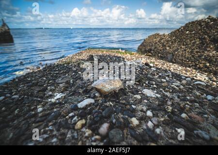 Die Überreste der Krabben auf den Steinen in der Nähe des Meeres. Ort der Seevögel Mahlzeit. Die Schalen der Gliederfüßer. Reste nach dem Frühstück von Möwen. Stockfoto