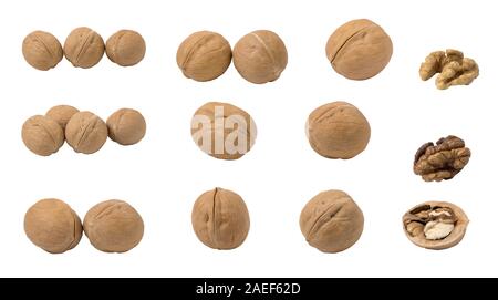 Satz von walnüssen auf einem weißen Hintergrund. Stockfoto