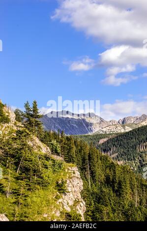 Landschaft der Tatra Berge bedeckt Wald, Blick von oben auf Nosal. Wunderschönes Panorama mit Spitzen auf dem Hintergrund des blauen Himmels, Zakopane, Polen Stockfoto