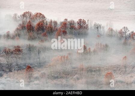 Sonnenaufgang über dem nebligen Wald, Italien Landschaft Stockfoto