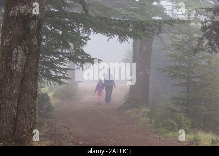 Kleine Wanderungen Mädchen Bucht der Weg in den Wald. Stockfoto