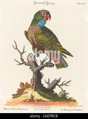 Johann Sebastian Leitner nach George Edwards, Papagei (Le Perroquet Brunatre Pfittacus Fulcus Mexicanus) Parrot (Le Perroquet Brunatre. Pfittacus Fulcus Mexicanus) Stockfoto