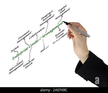 Diagramm der Enterprise Content Management Stockfoto