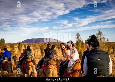 Asiatische Touristen machen ein Selfie während einer Kameltour bei Sonnenuntergang mit Uluru in der Ferne. Uluru, Northern Territory, Australien Stockfoto