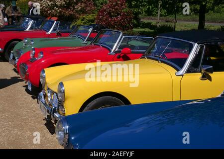 Austin Healy Sprite Stockfoto