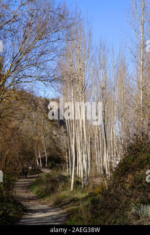 Ein Spaziergang durch die Schlucht des Rio Alhama von Alhama de Granada in Andalusien, Spanien Stockfoto