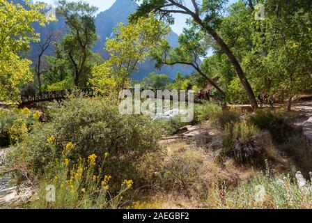 Zion National Park, Utah/USA, USA - 3. Oktober 2019: eine Brücke über einen Fluss im Zion National Park Stockfoto