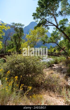 Zion National Park, Utah/USA, USA - 3. Oktober 2019: eine Brücke über einen Fluss im Zion National Park Stockfoto