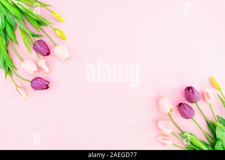 Valentinstag Komposition. Tulip Blumen auf rosa Hintergrund. Valentinstag, Tag Konzept der Mutter. Flach, Ansicht von oben, kopieren Raum Stockfoto