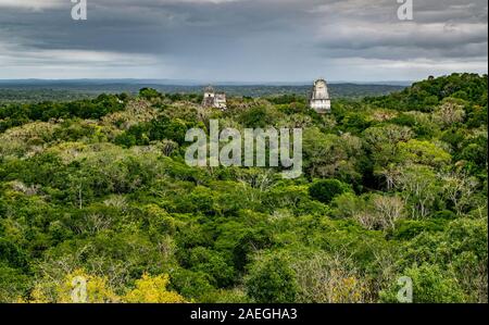 Archäologische Stätte Tikal in Guatemala, einer alten Mayastadt in Ruinen von dichtem Dschungel umgeben. Stockfoto