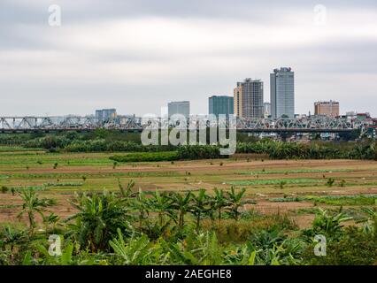 Getreidefelder auf Red River Bank mit Chuong Duong Brücke, Hanoi, Vietnam, Asien Stockfoto