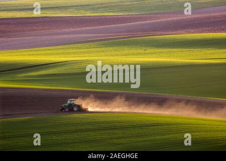 Traktor pflügt das Feld im Frühling Stockfoto