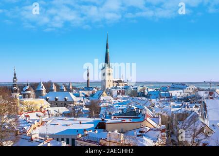 Blick auf die verschneiten Dächer der Altstadt. Tallinn, Estland Stockfoto