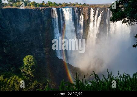 Victoria Falls, von David Livingstone im Jahr 1855 benannt nach Königin Victoria, der Wasserfall ist der Sambesi Fluss gebildet, in einen 100 Meter tiefen Ch Stockfoto