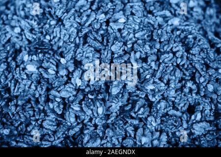 Walnuss Hintergrund in trendigen Classic blau Farbe. Stockfoto