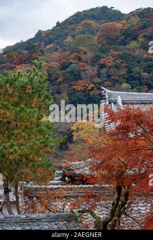 Garten mit Herbstfarben, ursprünglich erstellt von Musō Soseki, der Tenryū-ji Zen-buddhistischen Tempel, Kyoto, Japan Stockfoto