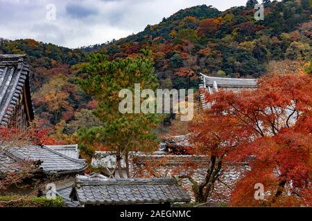 Garten mit Herbstfarben, ursprünglich erstellt von Musō Soseki, der Tenryū-ji Zen-buddhistischen Tempel, Kyoto, Japan Stockfoto