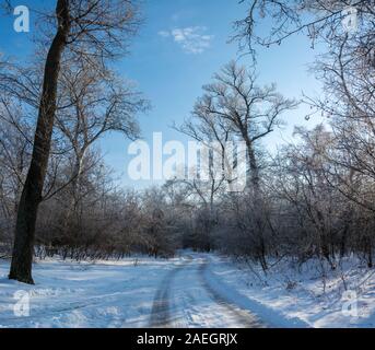 Winterlandschaft, Bäume im Frost. Das Bild aus vielen Fotos gemacht wird. Vereisten Straßen im Winter Wald Stockfoto