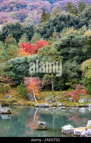 Garten mit Herbstfarben, ursprünglich erstellt von Musō Soseki, der Tenryū-ji Zen-buddhistischen Tempel, Kyoto, Japan Stockfoto