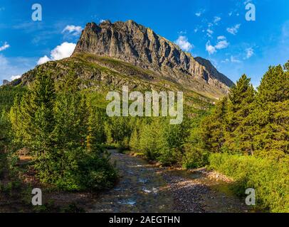 Grinnell Punkt gesehen von Wilbur Creek auf der Continental Trail im Many Glacier Bereich des Glacier National Park in Montana unterteilen. Stockfoto