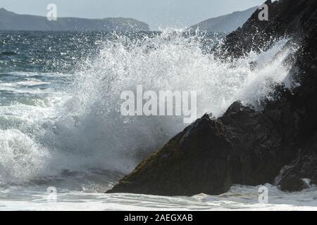 Wellen über die Felsen an der Küste brechen, Ballyferriter in der Grafschaft Kerry, Irland Stockfoto