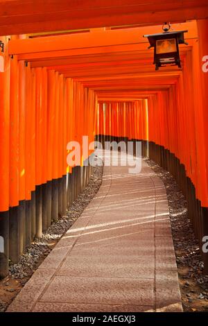Ein Pfad unter einer Reihe von Torii-Tore der Fushimi Inari-Schrein (伏見稲荷大社) in Kyōto, Japan. Stockfoto