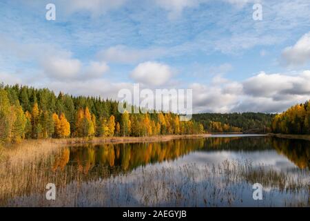 Ein See in Repovesi Nationalpark in Finnland, in dem Moment, in dem die Sonne lugte durch die Wolken und beleuchtete die Farben der Bäume. Stockfoto