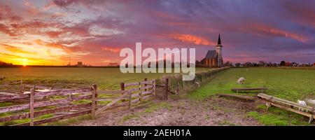 Die Kirche von Den Hoorn auf der Insel Texel in den Niederlanden bei Sonnenaufgang. Ein Feld mit Schafen und kleinen Lämmer in der Front. Stockfoto