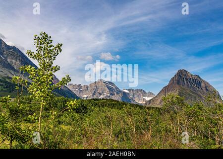 Mount Wilbur und Swiftcurrent Berg im Many Glacier, Glacier National Park in Montana. Stockfoto